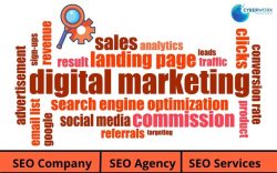 SEO Company And SEO Services in Delhi