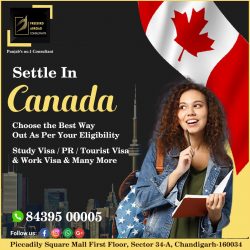 Settle in Canada