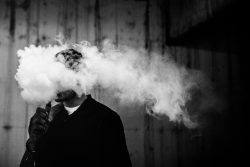 Vape Store Near Beverly Grove | Smoke Tree Louge