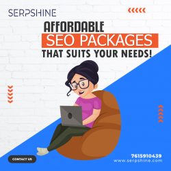 Affordable Search Engine Optimization