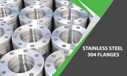 Stainless Steel 304 Flanges