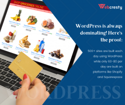 Do You Know The Benefits Of Opting Website Development Using WordPress?