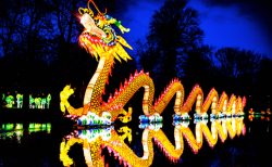 Chinese Dragon-phoenix Shapted Lantern