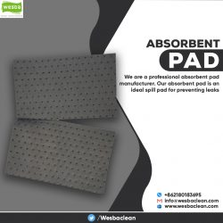 Absorbent Pad