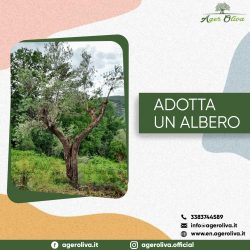 Adotta un albero