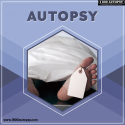 Autopsy