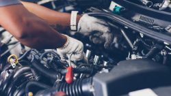 Best Motor Mechanic Expert in Australia