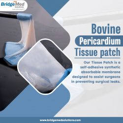 Bovine Pericardium Tissue Patch