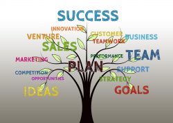 Best Business Development Services