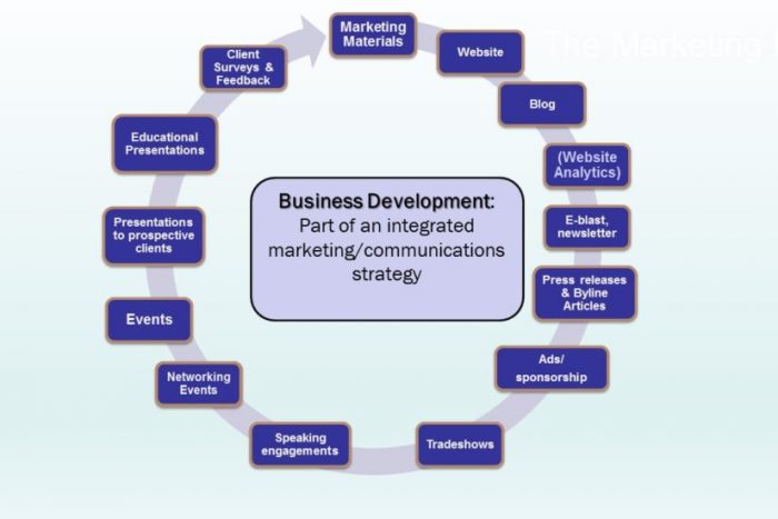 Business Development Services