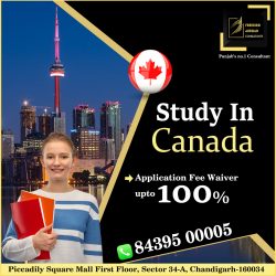 Canada Study Visa Overall 6 bands in IELTS