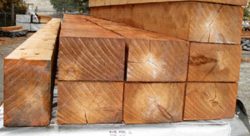 Cedar Wood