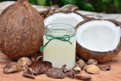 Coconut Oil Manufacturer | Coconut farm