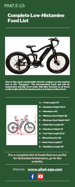 Swagger 1000W Electric Bike-Phat-eGo