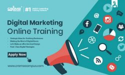 What Is the Importance Of Digital Marketing For Your Career?