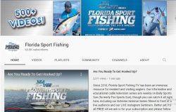 fishing charters