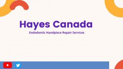 Hayes Canada | Provides Dental Equipment Manufacture Services