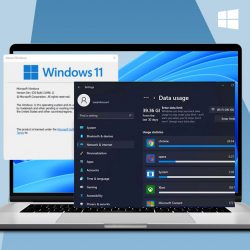 How to Track Internet Usage in Windows 11 {2022 Guide}