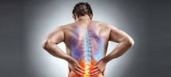 Choose The Best Spine Specialist in Jaipur