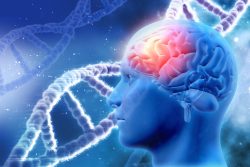 Train To Be A Neuropsychologist