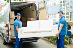 Furniture Removals