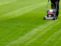 Lawn Care and Mowing Services in Washington