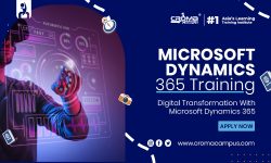 Why Microsoft Dynamics 365 for CRM?