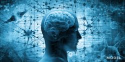 Best Neuropsychologist Service In Your Area