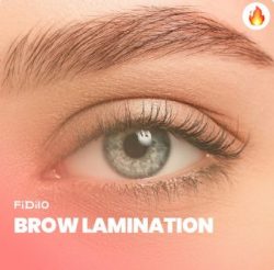 Online Brow Lamination Course