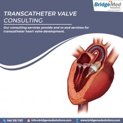 Transcatheter Valve Consulting