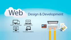 Web Development Career