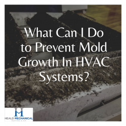 What Can I Do to Prevent Mold Growth In HVAC Systems?