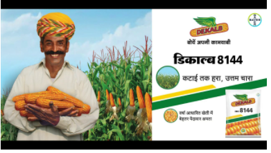 Agrochemicals – Behtar Zindagi – YouTube