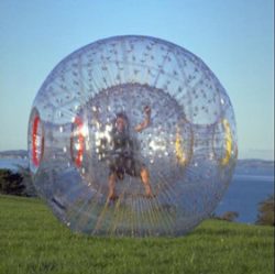 human hamster ball﻿