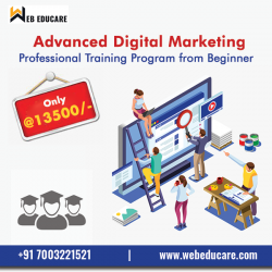 Advance Digital Marketing Course In Kolkata | WebEducare