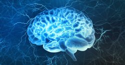 Get The Neuropsychologist For Mental Illness