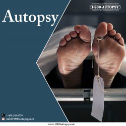 Autopsy