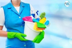 Bond cleaning ipswich