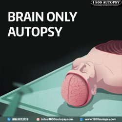 Brain Only Autopsy