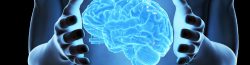 Neuropsychologist For Mental Illness