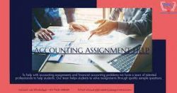 Find Online Assignment Help