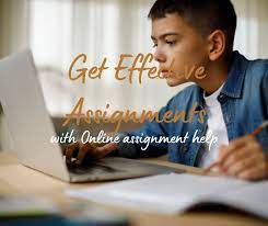 Get Assignment Help Online