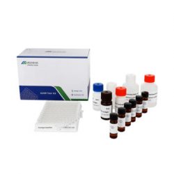 Folic Acid ELISA Test Kit