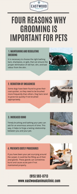 Four Reasons Why Grooming is Important For Pets