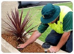 Best Gardeners in Perth