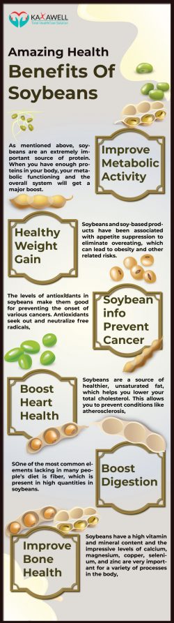 13 Amazing Health Benefits Of Soybeans