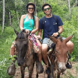 Punta Cana Horseback Riding | YAY! Punta Cana