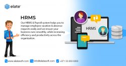 Best HR Payroll Software in Dubai – UAE – Bahrain