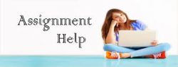 Database Assignment Help