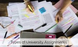 Find Assignment Helper Online